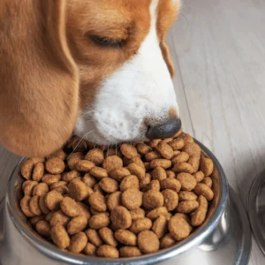 Alimentos