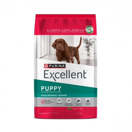 EXCELLENT PUPPY 12 kilos