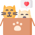 kitten.png kitten.png